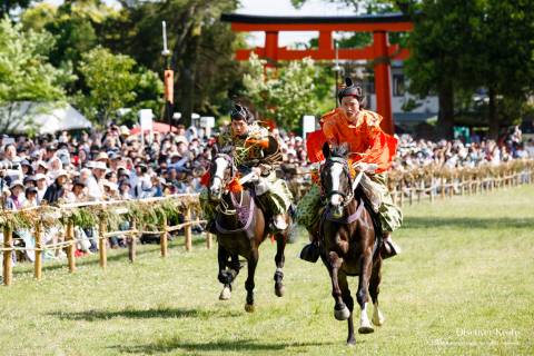 Kamo Horse Race Seconds