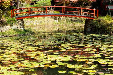 Ōharano Shrine Bridge Reflection