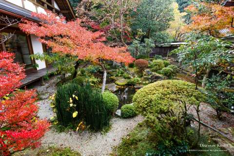 Crane and Turtle garden at Hōsen-in.