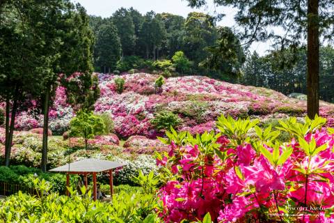 Mimuroto-ji Azalea Hill Gazebo