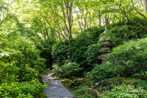 A pathway in spring at Ōkōchi Sansō.