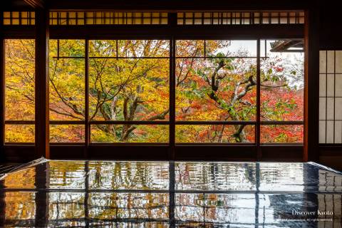 Rurikō-in Autumn Leaves Reflection