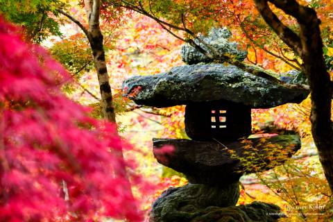 Eikan-dō Autumn 2016 Stone Lantern