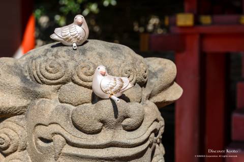 Omikuji Iwashimizu Hachimangū Pigeon Fortune 01