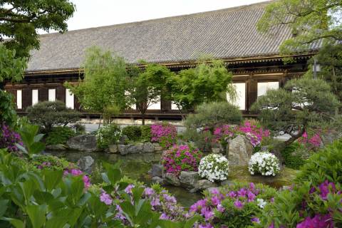 Sanjūsangen-dō temple precincts blooming spring flowers