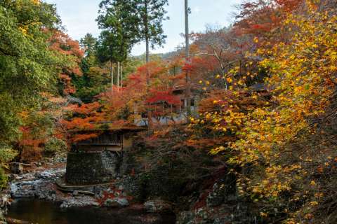 View from the bridge at Saimyō-ji temple.