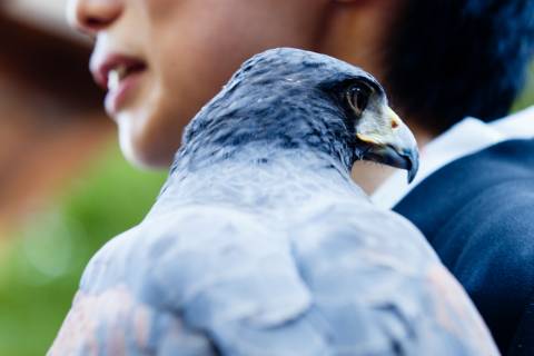 Falconer and a bird during the Funeoka Taisai at Kenkun shrine.