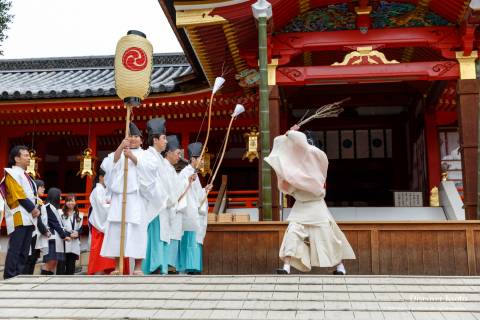 Iwashimizu Hachimangū Setsubun Peach Sword