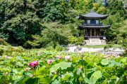 Kajū-ji
