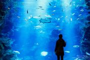Kyoto Aquarium