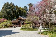 Umenomiya Taisha