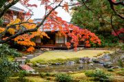Murin-an
