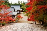 Jingo-ji