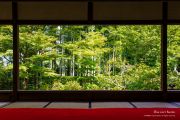 Hōsen-in